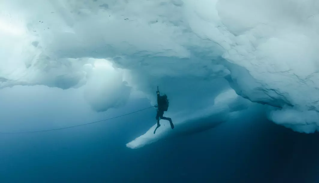 En dykker med sugepumpe under isen en plass i det dype blå arktiske havet