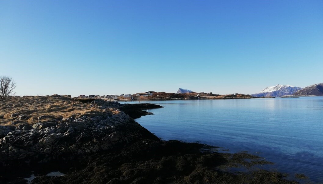 Nydeleg dag med sol er ideelt for fjernmåling. Snøen har allereie smelta, og vi kan sjå ein roleg sjø med klart vatn på Sommarøy. Nydeleg dag med sol er ideelt for fjernmåling. Snøen har allereie smelta, og vi kan sjå ein roleg sjø med klart vatn på Sommarøy.