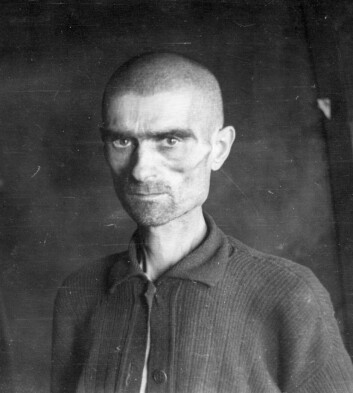 150 000 krigsfanger ble internert i norske leirer. De fleste kom fra Sovjetunionen, Polen og Jugoslavia. (Fotograf ukjent. Eier: Frode Frostad) 150 000 krigsfanger ble internert i norske leirer. De fleste kom fra Sovjetunionen, Polen og Jugoslavia. (Fotograf ukjent. Eier: Frode Frostad)