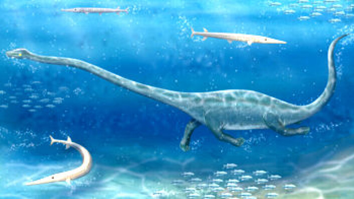 "Dinocephalosaurus orientalis." "Dinocephalosaurus orientalis."