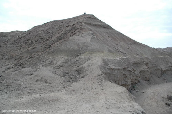 De to dyreknoklene ble funnet i denne skråningen i Afar-regionen i det nordlige Etiopia. (Foto: Dikika Research Project) De to dyreknoklene ble funnet i denne skråningen i Afar-regionen i det nordlige Etiopia. (Foto: Dikika Research Project)
