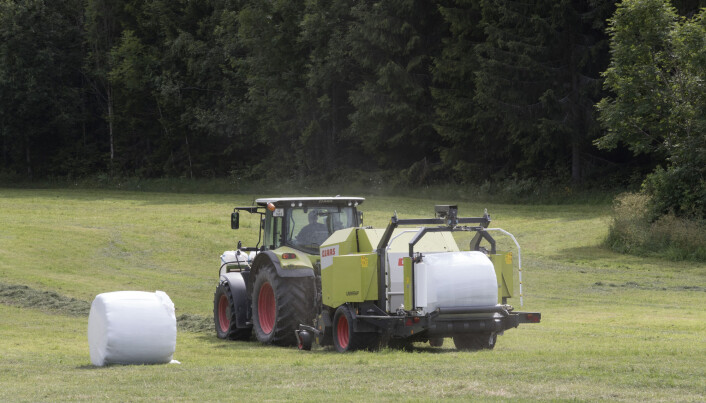 Hesjer og muskelkraft erstattet av traktor og rundballer. Men trolig har det lite å si for bondens vekt, skal vi tro forskningen. Hesjer og muskelkraft erstattet av traktor og rundballer. Men trolig har det lite å si for bondens vekt, skal vi tro forskningen.
