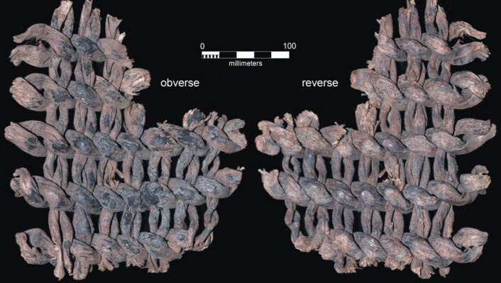 Tekstiler funnet i en hule i Andesfjellene i Peru er 12 000 år gamle. Bildet viser begge sider av et av tekstilfragmentene. Det har antagelig en gang vært en del av en vevd matte eller en kurv. (Foto: Edward A. Jolie og Phil R. Geib) Tekstiler funnet i en hule i Andesfjellene i Peru er 12 000 år gamle. Bildet viser begge sider av et av tekstilfragmentene. Det har antagelig en gang vært en del av en vevd matte eller en kurv. (Foto: Edward A. Jolie og Phil R. Geib)