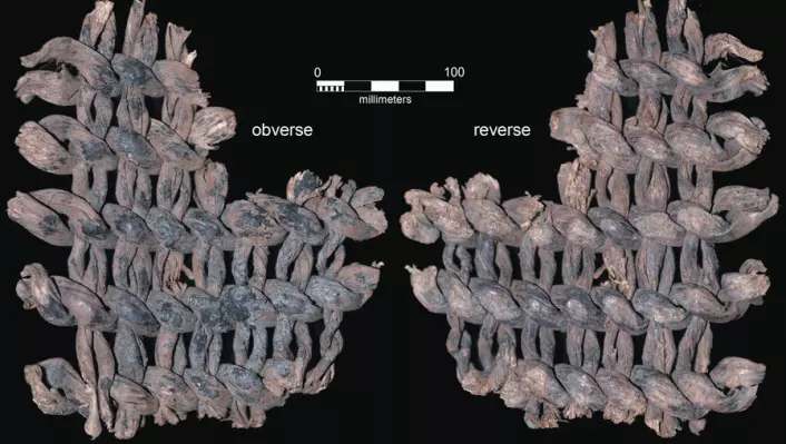 Tekstiler funnet i en hule i Andesfjellene i Peru er 12 000 år gamle. Bildet viser begge sider av et av tekstilfragmentene. Det har antagelig en gang vært en del av en vevd matte eller en kurv. (Foto: Edward A. Jolie og Phil R. Geib)