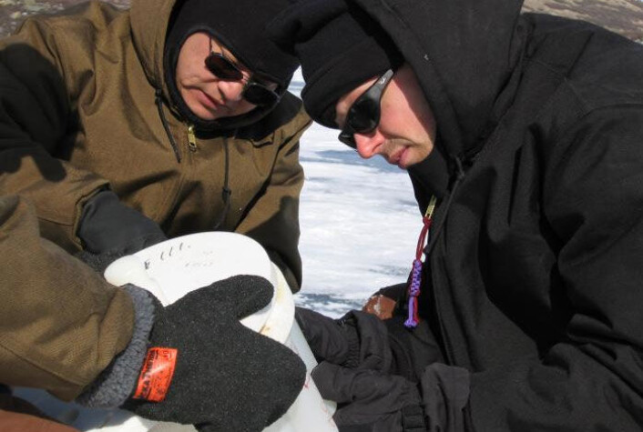 Isen skjuler 5.600 års klimahistorie. Forskerne William D'Andrea (t.h) og Yongsong Huang med en iskjerne fra en sjø nær Kangerlassuaq på Grønland. (Foto: William D'Andrea/Brown University) Isen skjuler 5.600 års klimahistorie. Forskerne William D'Andrea (t.h) og Yongsong Huang med en iskjerne fra en sjø nær Kangerlassuaq på Grønland. (Foto: William D'Andrea/Brown University)