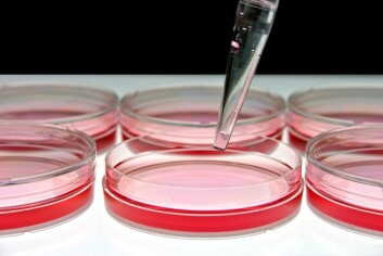 Ved å lage hormoner på laboratoriet kan forskerne redde liv. (Foto: Shutterstock) Ved å lage hormoner på laboratoriet kan forskerne redde liv. (Foto: Shutterstock)