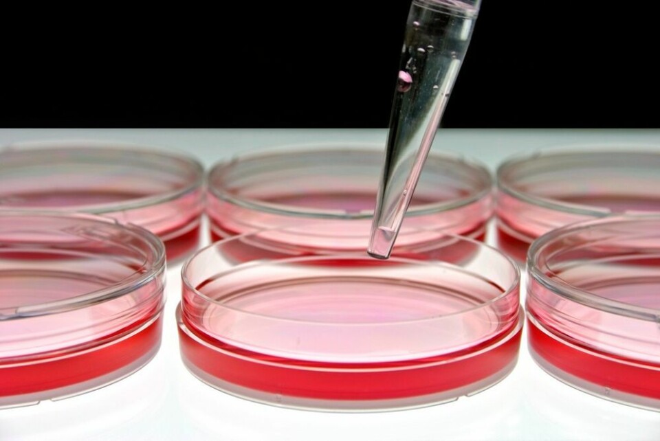 Ved å lage hormoner på laboratoriet kan forskerne redde liv. (Foto: Shutterstock)