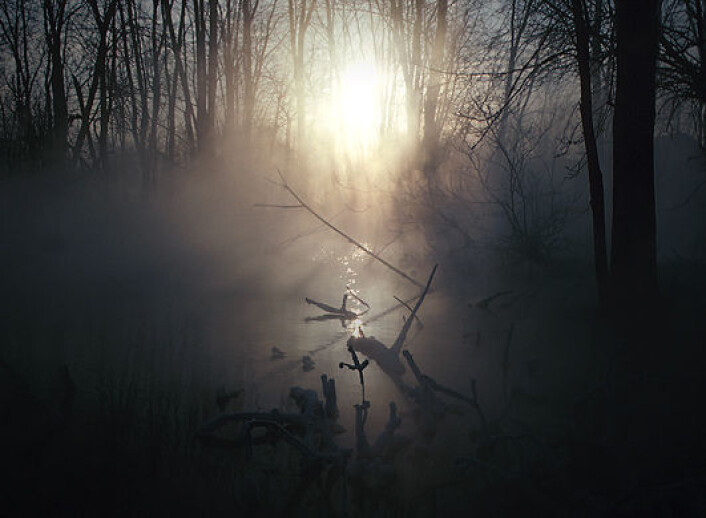 (Illustrasjonsfoto: www.clipart.com) (Illustrasjonsfoto: www.clipart.com)