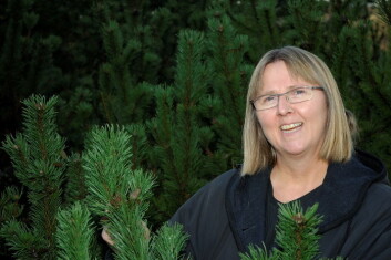 Forsker Venche Talgø ved Bioforsk Plantehelse. Forsker Venche Talgø ved Bioforsk Plantehelse.