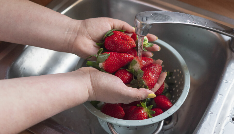 Har du lurt på hvorfor du må vaske bær før du spiser dem?