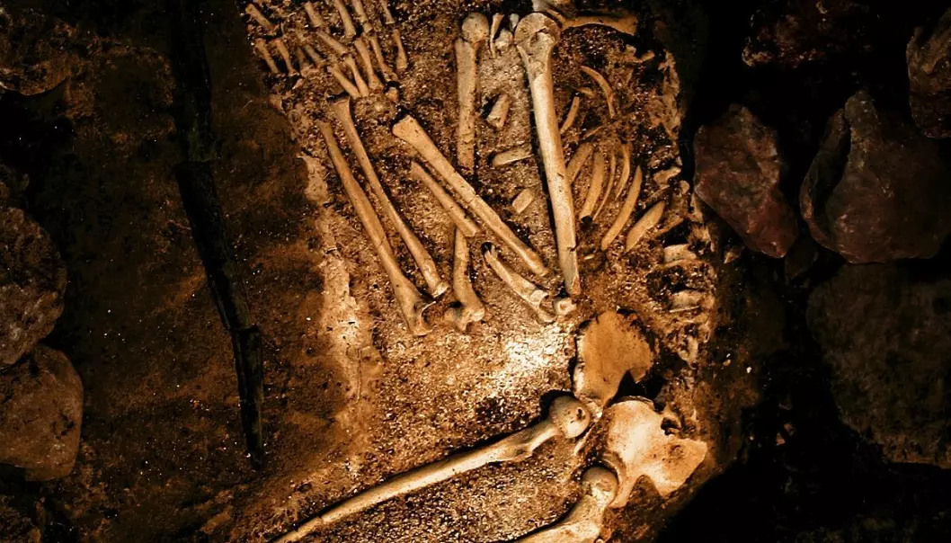 Neandertalergenomet nesten kartlagt