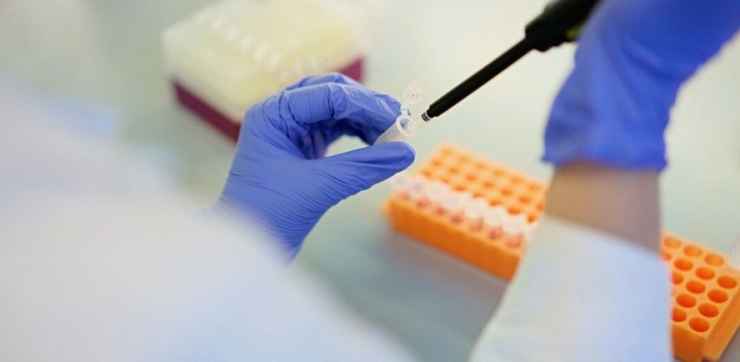 Using bacteria and other microbes to produce goods, feed and medicines has been dubbed 'biofabrication' and has been tested in various formats around the world in recent years. Using bacteria and other microbes to produce goods, feed and medicines has been dubbed 'biofabrication' and has been tested in various formats around the world in recent years.