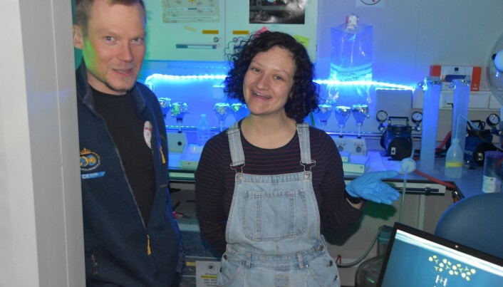 Yasemin og Mikko i sedimentfelle laboratoriet. Yasemin og Mikko i sedimentfelle laboratoriet.