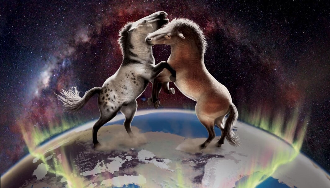 Hester fra Nord-Amerika og Europa var ikke helt isolerte fra hverandre gjennom de siste en million år. Hester fra Nord-Amerika og Europa var ikke helt isolerte fra hverandre gjennom de siste en million år.