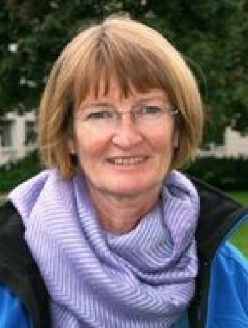 Informasjonsflyten i helsevesenet kan sammenlignes med øyhopping, mener Ragnhild Hellesø. Informasjonsflyten i helsevesenet kan sammenlignes med øyhopping, mener Ragnhild Hellesø.