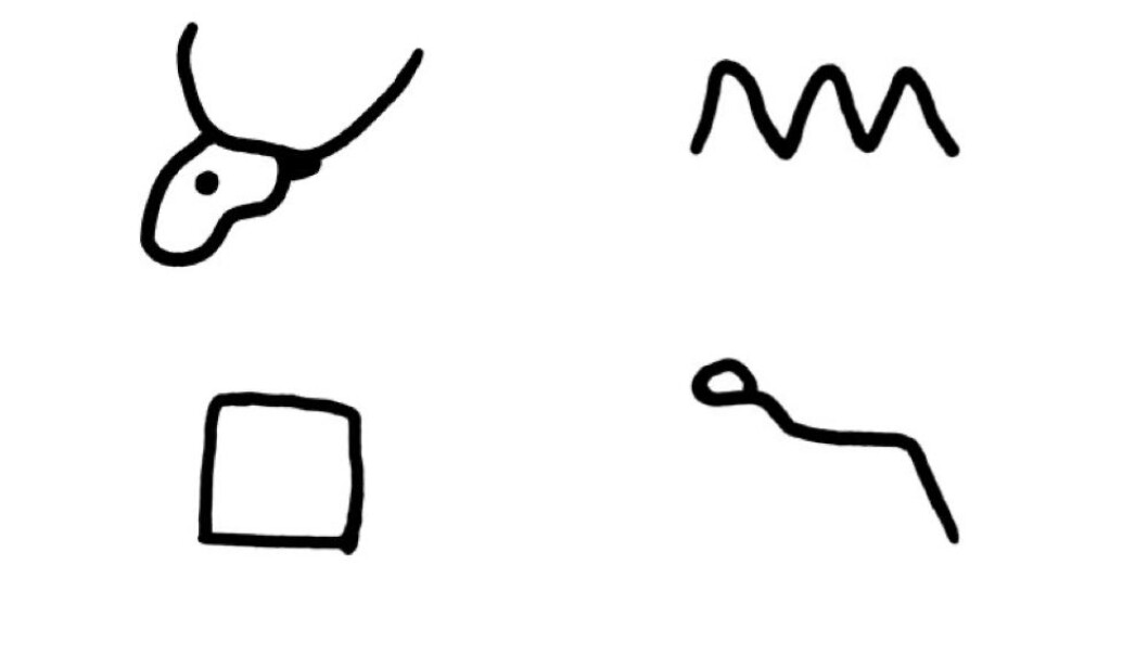Den første lyden i <span class="italic" data-lab-italic_desktop="italic">Aleph </span>(okse) er utgangspunktet for bokstaven A. Snu oksehodet opp ned, så ser du A-en. <span class="italic" data-lab-italic_desktop="italic">Beth</span> (huset) er utgangspunktet for bokstaven B. Det tegnet gruvearbeiderne i Serabit el-Khadim som en firkant. Den første lyden i det bølgende vannet (<span class="italic" data-lab-italic_desktop="italic">mayim</span>) ble til bokstaven M. Den første lyden i slangen (<span class="italic" data-lab-italic_desktop="italic">nahash</span>) ble til bokstaven N. Dette geniale prinsippet fra det lille gruvesamfunnet i ørkenen i Sinai for 4000 år siden, er det altså som kan ligge bak de 29 bokstavene vi bruker i det norske alfabetet i dag. Den første lyden i <span class="italic" data-lab-italic_desktop="italic">Aleph </span>(okse) er utgangspunktet for bokstaven A. Snu oksehodet opp ned, så ser du A-en. <span class="italic" data-lab-italic_desktop="italic">Beth</span> (huset) er utgangspunktet for bokstaven B. Det tegnet gruvearbeiderne i Serabit el-Khadim som en firkant. Den første lyden i det bølgende vannet (<span class="italic" data-lab-italic_desktop="italic">mayim</span>) ble til bokstaven M. Den første lyden i slangen (<span class="italic" data-lab-italic_desktop="italic">nahash</span>) ble til bokstaven N. Dette geniale prinsippet fra det lille gruvesamfunnet i ørkenen i Sinai for 4000 år siden, er det altså som kan ligge bak de 29 bokstavene vi bruker i det norske alfabetet i dag.