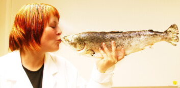 "Cathrin Storteig er i ferd med å ta en master i havbruk ved Høgskolen i Bodø. Begge foto: Helge Grønmo." "Cathrin Storteig er i ferd med å ta en master i havbruk ved Høgskolen i Bodø. Begge foto: Helge Grønmo."