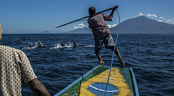 Ser du på hvalen som ressurs eller truet art?