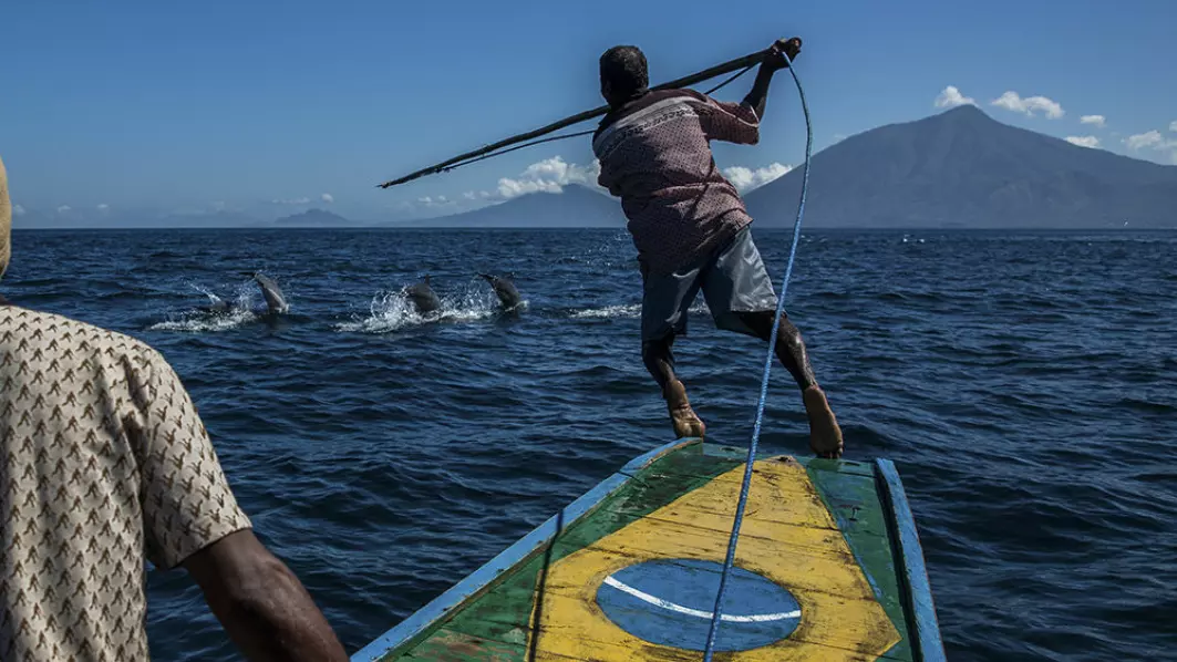 Marine hunters in Indonesia have to reflect on what the appropriate relationship between humans and whales look like.