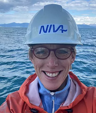 Seniorforsker Hilde Trannum ved NIVA har de seneste årene fulgt nøye med på bunnfaunaens tilstand i Grenlandsfjordene.