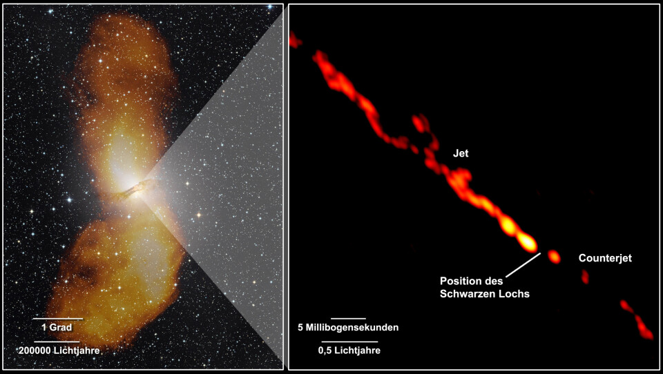 Her ser du bildet av de store flippene, ved siden av det nye bildet fra TANAMI som viser de innerste delene av jetstrømmene. Dette er det skarpeste bildet som noen gang er tatt av jetstrømmene til et sort hull. Tilsammen strekker den oransje streken seg over 4,16 lysår. (Foto til venstre: Capella Observatory (optisk), med radiodata from Ilana Feain, Tim Cornwell, og Ron Ekers (CSIRO/ATNF), R. Morganti (ASTRON), and N. Junkes (MPIfR). Foto til høyre:  NASA/TANAMI/Müller et al)
