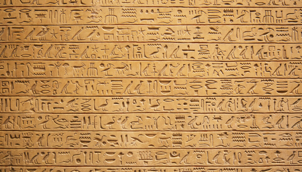 En tekst skrevet med hieroglyfer.