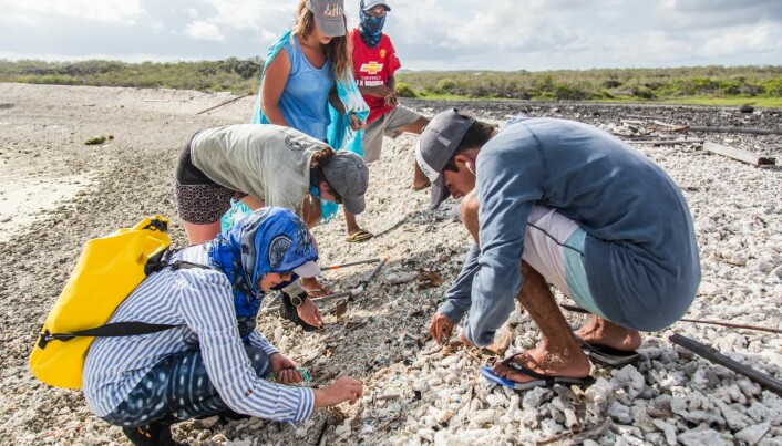 Forskere fant mikroplast på alle strendene på denne Galápagos-øya