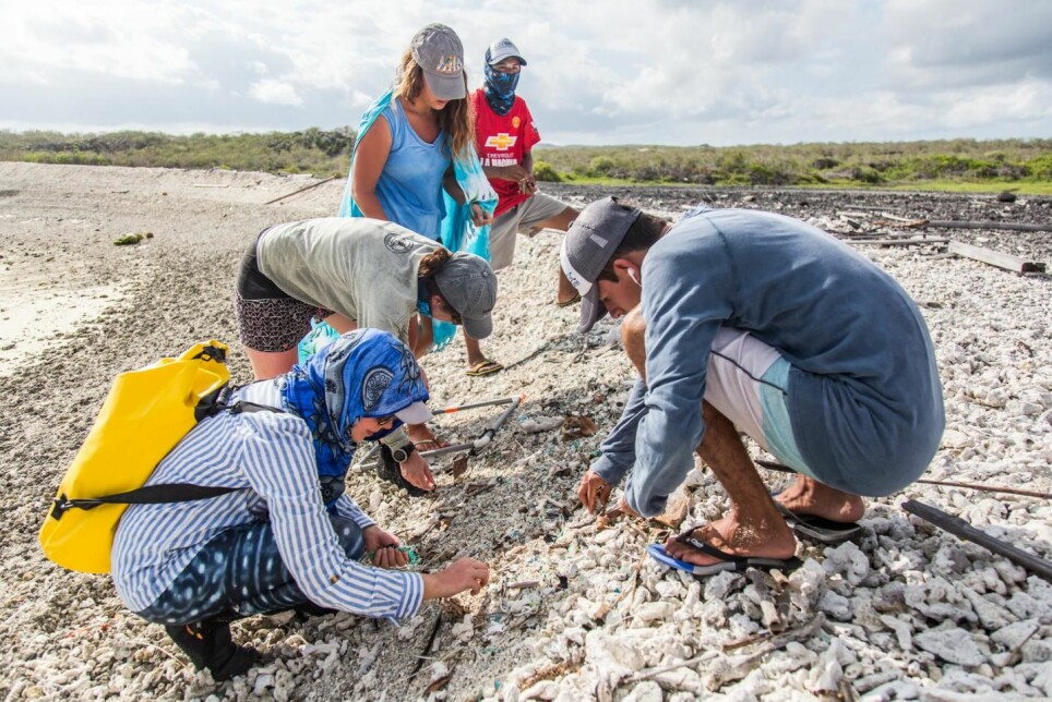Forskere har undersøkt hvor mye plast det er på Galápagosøyene som ligger 97 mil vest for Sør-Amerika. Her samler de inn prøver på en strand på øya San Cristobal.