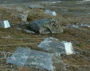 "Miniatyrdrivhus uten tak er brukt for å øke temperaturen (1.5-2.0 ˚C), og næring er tilført for å simulere en forventet økning i næringstilgang" "Miniatyrdrivhus uten tak er brukt for å øke temperaturen (1.5-2.0 ˚C), og næring er tilført for å simulere en forventet økning i næringstilgang"