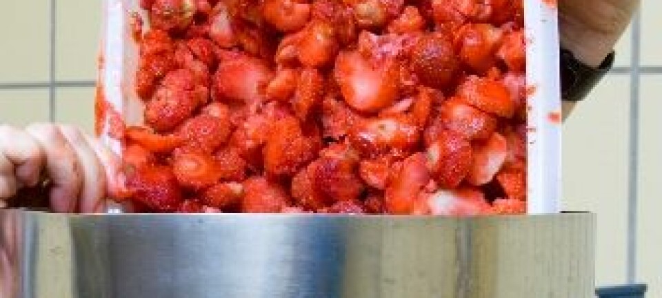 Berit Karoline Martinsen har produsert syltetøy av mange ulike sorter jordbær og bringebær. (Foto: Kjell J. Merok)