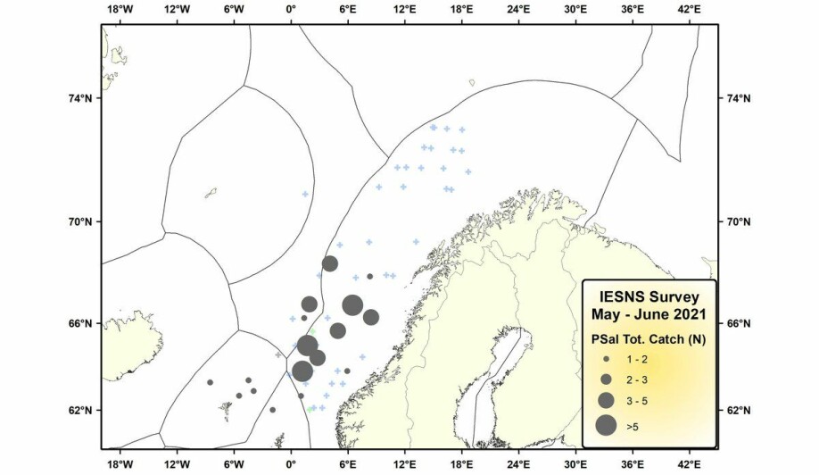 Dei grå rundingane viser pukkellaks-fangstane på maitoktet. Kryssa viser kor fartøya har tråla (desse er ikkje komplette for 2021).