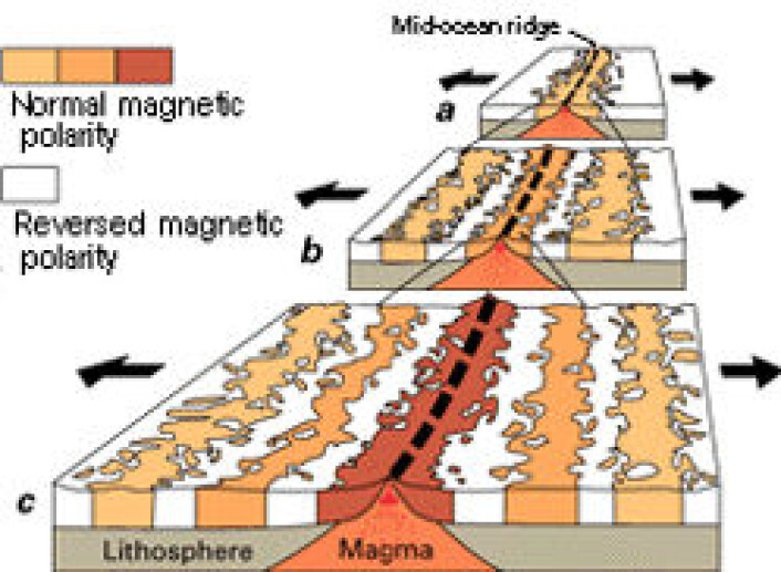 "Magnetiske sebrastriper ligger symmetrisk med midthavsryggene. (Illustrasjon U.S. Geological Survey)" "Magnetiske sebrastriper ligger symmetrisk med midthavsryggene. (Illustrasjon U.S. Geological Survey)"