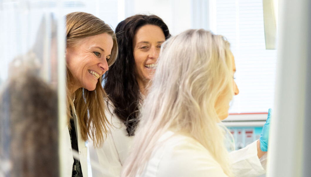 Fjær i hatten: Stipendiat Ingvild Buran Kroglund (til venstre), biveileder Courtney Waugh og masterstudent Sara Eide kan konstatere at forsøket med å dyrke celler hentet fra fjær ble vellykket. Fjær i hatten: Stipendiat Ingvild Buran Kroglund (til venstre), biveileder Courtney Waugh og masterstudent Sara Eide kan konstatere at forsøket med å dyrke celler hentet fra fjær ble vellykket.
