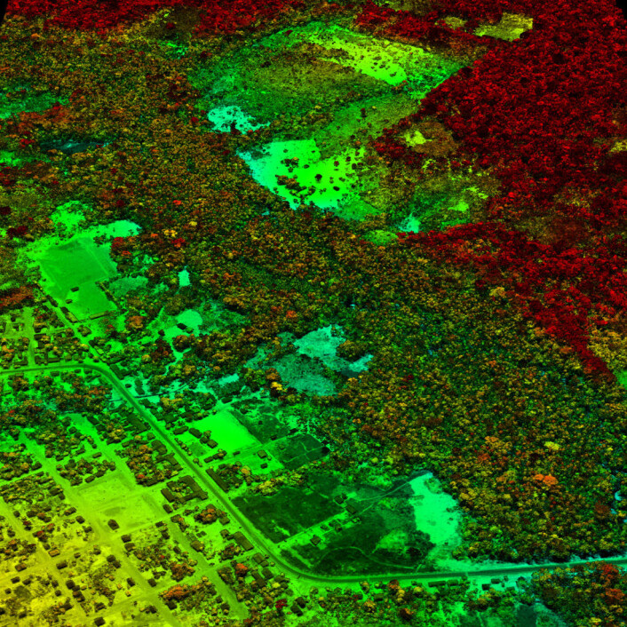 Dette LiDAR-bildet fra peruviansk Amazonia viser et område der det bygges vei og bygges ut inntil skogsområder. Den gamle skogen er rødfarget, mens nyvokst skog er grønn. (Foto: Carnegie Airborne Observatory, Carnegie Institution for Science) Dette LiDAR-bildet fra peruviansk Amazonia viser et område der det bygges vei og bygges ut inntil skogsområder. Den gamle skogen er rødfarget, mens nyvokst skog er grønn. (Foto: Carnegie Airborne Observatory, Carnegie Institution for Science)