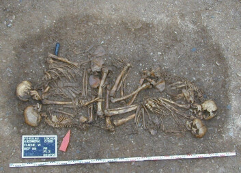 Familien i graven, med de to sønnene med ansiktene vendt mot foreldrene. (Foto: Haak et al. 2008) Familien i graven, med de to sønnene med ansiktene vendt mot foreldrene. (Foto: Haak et al. 2008)
