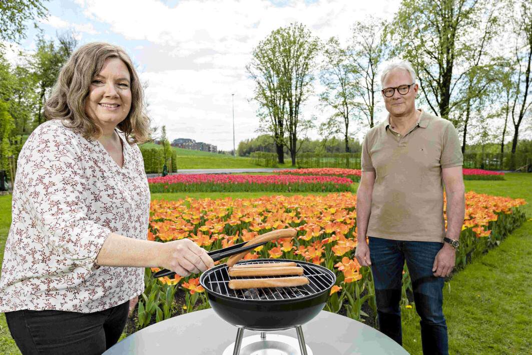 Sensoriker Kristine Svartebekk Myhrer i Nofima og kjøttforsker Rune Rødbotten jobber nå med en vitenskapelig artikkel for å underbygge de funnene de har gjort med å blande innmat i grillpølsene. Sensoriker Kristine Svartebekk Myhrer i Nofima og kjøttforsker Rune Rødbotten jobber nå med en vitenskapelig artikkel for å underbygge de funnene de har gjort med å blande innmat i grillpølsene.