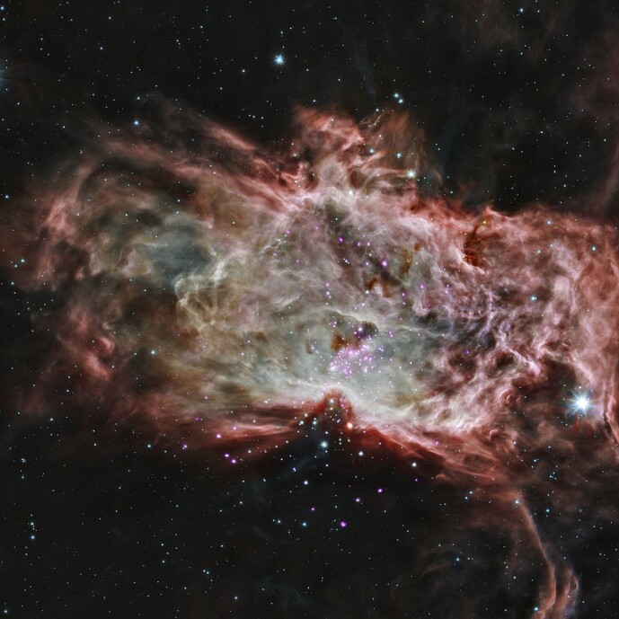 Et eksempel på en stjernefødestue, i retning Orion. De lilla prikkene er nylig dannede stjerner, målt via røntgen-stråling. Dette bildet er en sammensetning av forskjellige bølgelengder, både synlig og ikke-synlig lys. Et eksempel på en stjernefødestue, i retning Orion. De lilla prikkene er nylig dannede stjerner, målt via røntgen-stråling. Dette bildet er en sammensetning av forskjellige bølgelengder, både synlig og ikke-synlig lys.