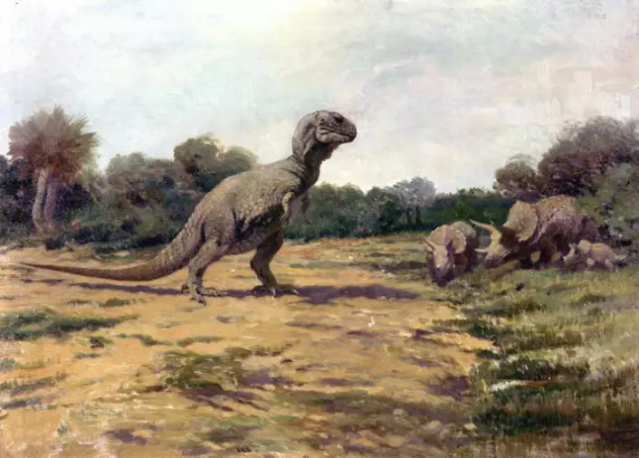 Tung, klumpete og mislykket: Slik så kunstneren Charles Knight for seg Tyrannosaurus Rex i 1919, stående med halen som et støttende tredje ben, på kenguruvis.