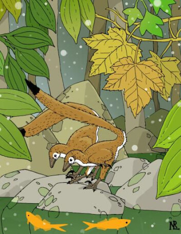 Kunstnerisk framstilling av Hesperonychus elizabethae. (Illustrasjon ved paleontolog Nick Longrich, University of Calgary) Kunstnerisk framstilling av Hesperonychus elizabethae. (Illustrasjon ved paleontolog Nick Longrich, University of Calgary)