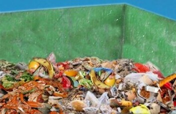Nå starter krafttaket for å redusere matavfallet i Norge. (Foto: Nofima) Nå starter krafttaket for å redusere matavfallet i Norge. (Foto: Nofima)