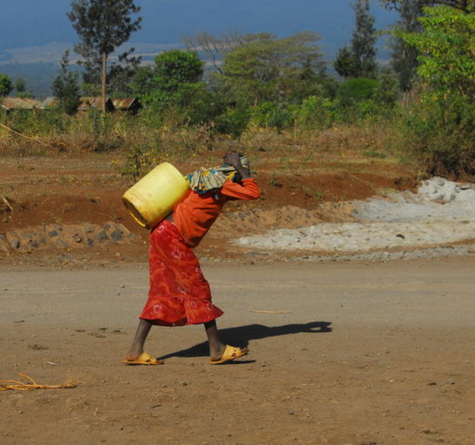 Vann må ofte bæres lange strekninger av kvinner. (Foto: Shutterstock)