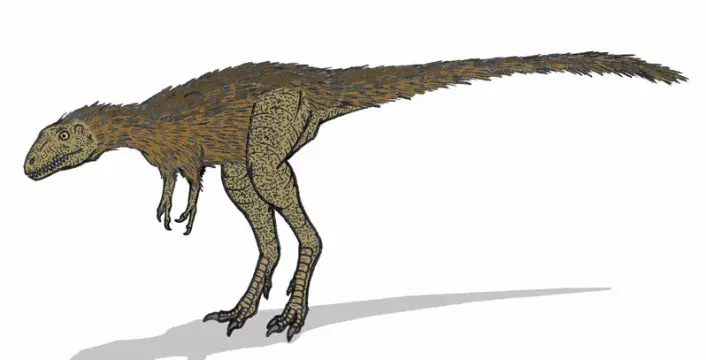 Smekker og sprek: Ung tyrannosaurus, basert på benfunn. Noen forskere tror at Tyrannosaurus hadde fjær, som avbildet her. (Illustrasjon: Conty, Creatice Commons, se lisens)
