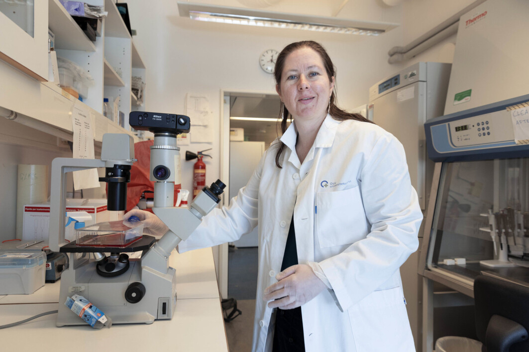 Vaksineforsker Gunnveig Grødeland ved avdeling for immunologi og transfusjonsmedisin, Universitetet i Oslo. Fotografert på vaksinelaberatoriet. Grødeland har ikke vært med på den nye forskningen. Vaksineforsker Gunnveig Grødeland ved avdeling for immunologi og transfusjonsmedisin, Universitetet i Oslo. Fotografert på vaksinelaberatoriet. Grødeland har ikke vært med på den nye forskningen.