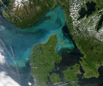 "Når planktonet blomstrer opp, reduserer det sikten i havet. Målinger av sikten kan derfor fortelle noe om mengen plankton som finnes i ethvert område. (Foto: NASA/Wikimedia Commons)" "Når planktonet blomstrer opp, reduserer det sikten i havet. Målinger av sikten kan derfor fortelle noe om mengen plankton som finnes i ethvert område. (Foto: NASA/Wikimedia Commons)"