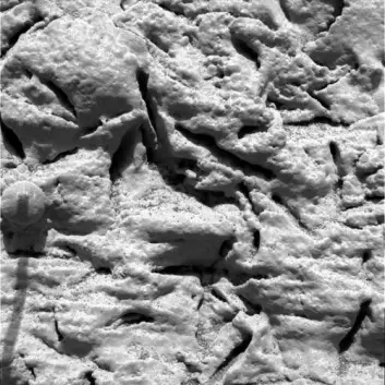 "Nærbilde fra den delen av steinformasjonen som har fått navnet El Capitan. (Foto: NASA, JPL, Cornell, USGS)"