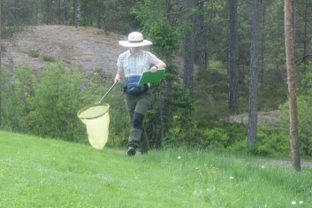 Feltregistrering av humler og dagsommerfugler. (Foto: Jan Ove Gjershaug, NINA) Feltregistrering av humler og dagsommerfugler. (Foto: Jan Ove Gjershaug, NINA)
