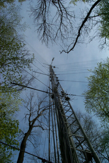 Foto: Max Planck Institute for Biogeochemistry Foto: Max Planck Institute for Biogeochemistry