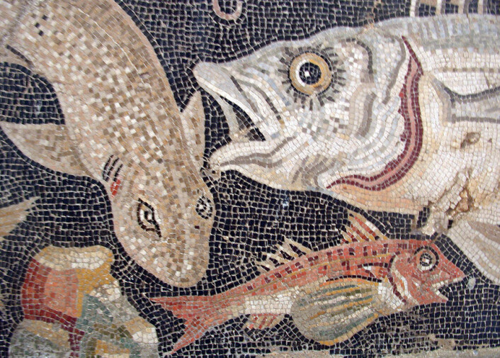 Romersk mosaikk som viser fiskeslag fra Middelhavet. (Foto: Wikimedia Commons) Romersk mosaikk som viser fiskeslag fra Middelhavet. (Foto: Wikimedia Commons)