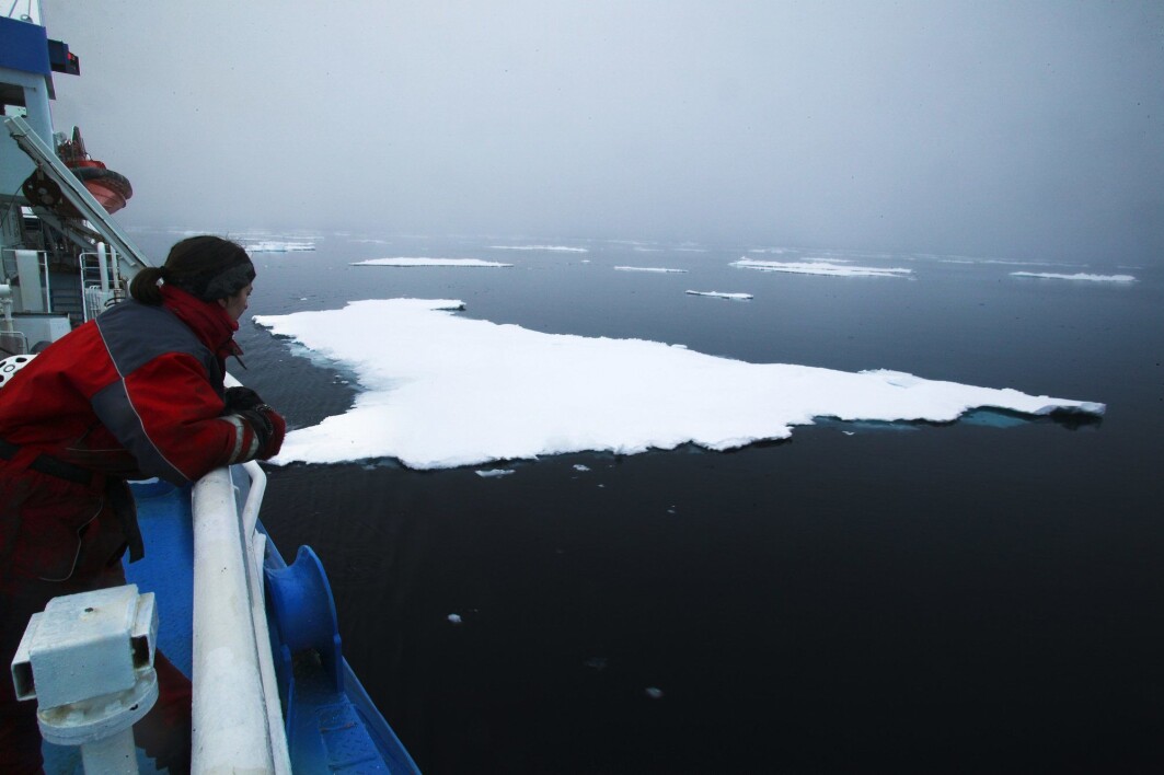 Forskere frykter at vi har passert punktet der det går an å redde sommerisen i Arktis. Her fra en klimaekspedisjon ved Svalbard. Forskere frykter at vi har passert punktet der det går an å redde sommerisen i Arktis. Her fra en klimaekspedisjon ved Svalbard.