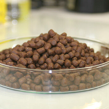 Pellets. (Foto: Frank Gregersen, Nofima) Pellets. (Foto: Frank Gregersen, Nofima)
